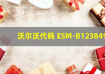 沃尔沃代码 ESM-B123849